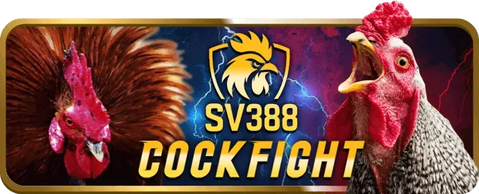 Tổng quan các môn thể thao đa dạng tại i9bet150 win